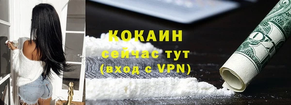 дживик Бородино