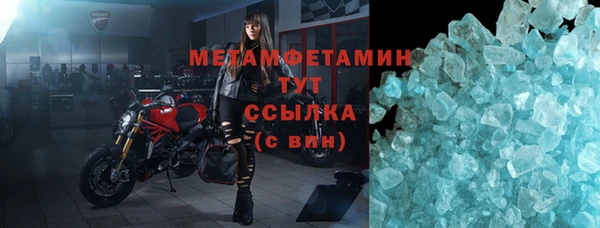 прущие грибы Бронницы