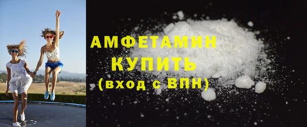 дживик Бородино