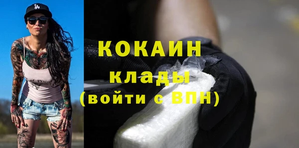 прущие грибы Бронницы