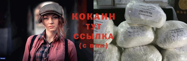 дживик Бородино