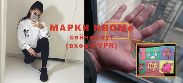 дживик Бородино