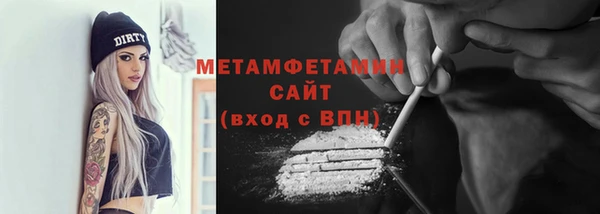 прущие грибы Бронницы