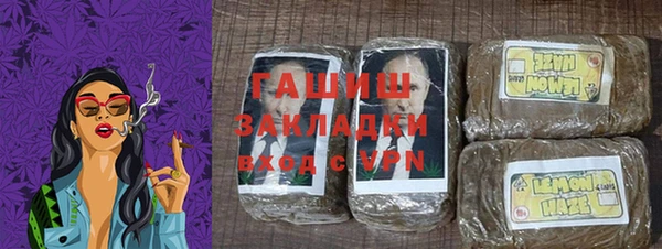 дживик Бородино