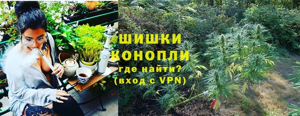 дживик Бородино