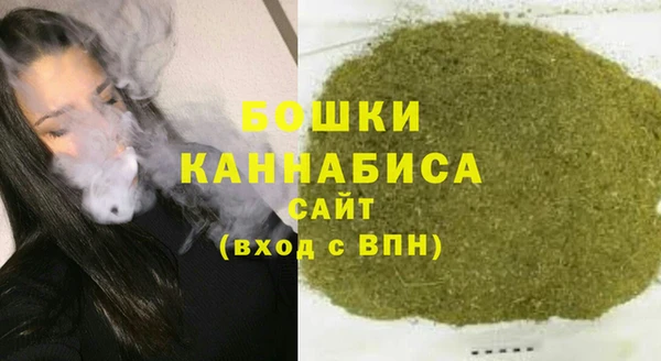 дживик Бородино