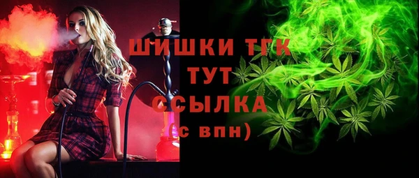 дживик Бородино