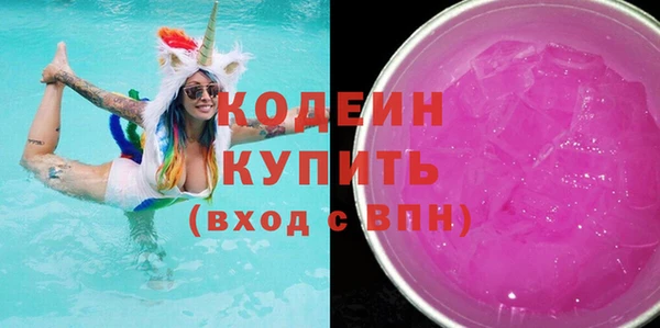 дживик Бородино