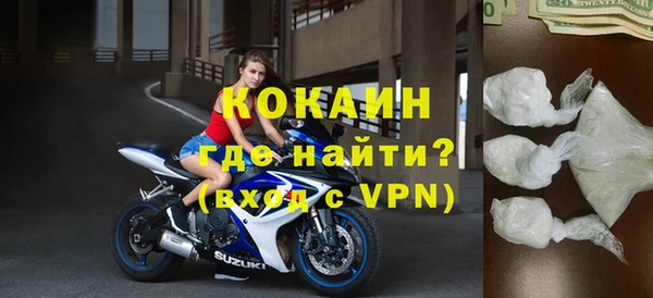 прущие грибы Бронницы
