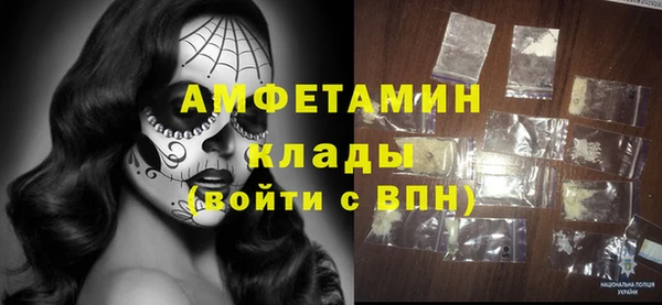 прущие грибы Бронницы